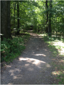 Path at Cross Roads Camp and Retreat Center 